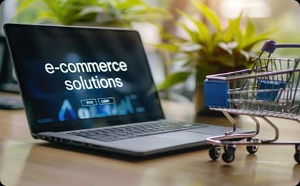 E-Commerce Development